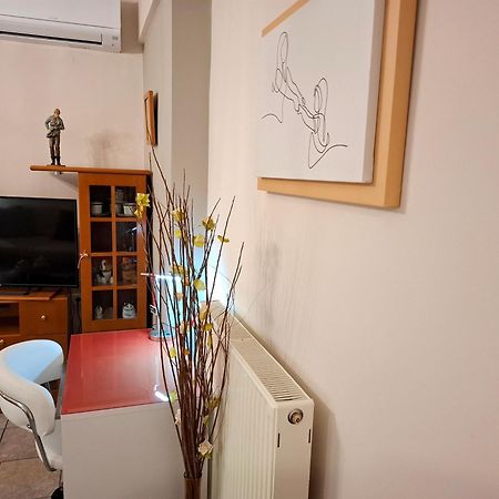 Απέριττον 2 Apartment Trikala  Exterior photo